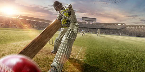 Understanding the impact of live data feeds on in-play cricket betting