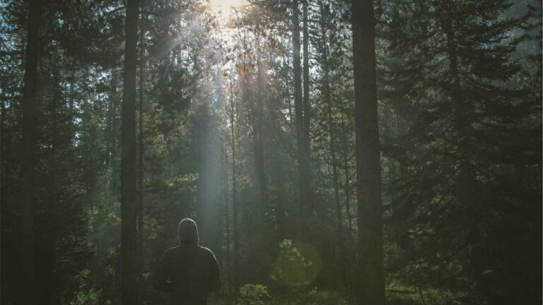 What Is The 99 Exch Live Feature Used For?