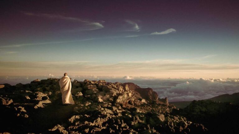 How To Play Back-Lay On Cricbet99?